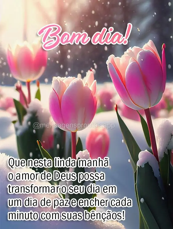 Que nesta linda manhã o amor de Deus possa transformar o seu dia em um dia de paz e encher cada minuto com suas bênçãos! Bom dia!