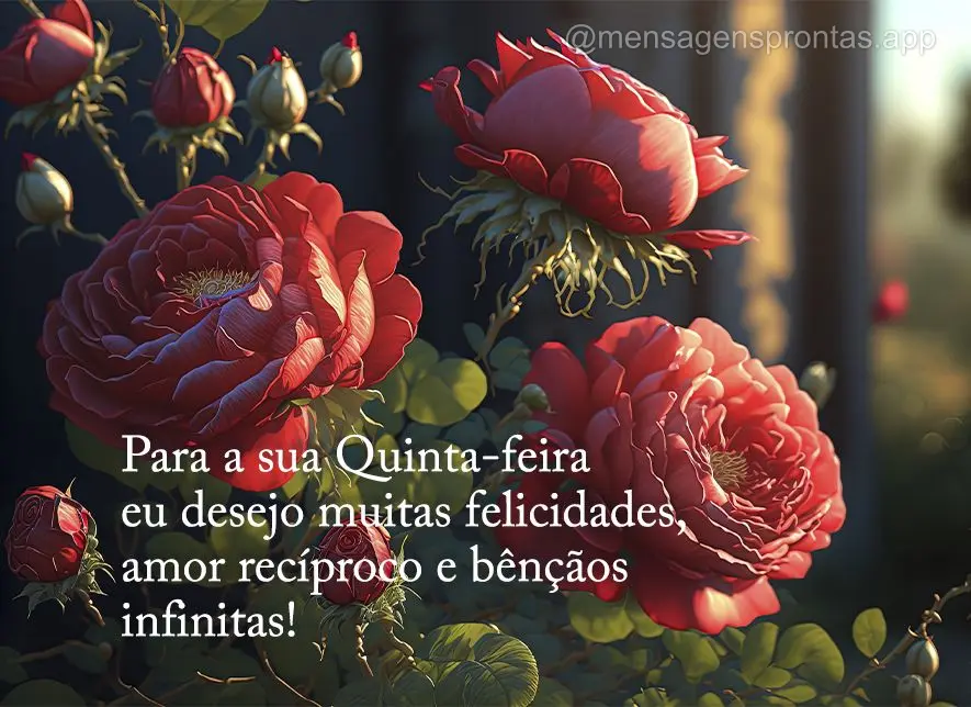Para a sua Quinta-feira eu desejo muitas felicidades, amor recíproco e bênçãos infinitas!