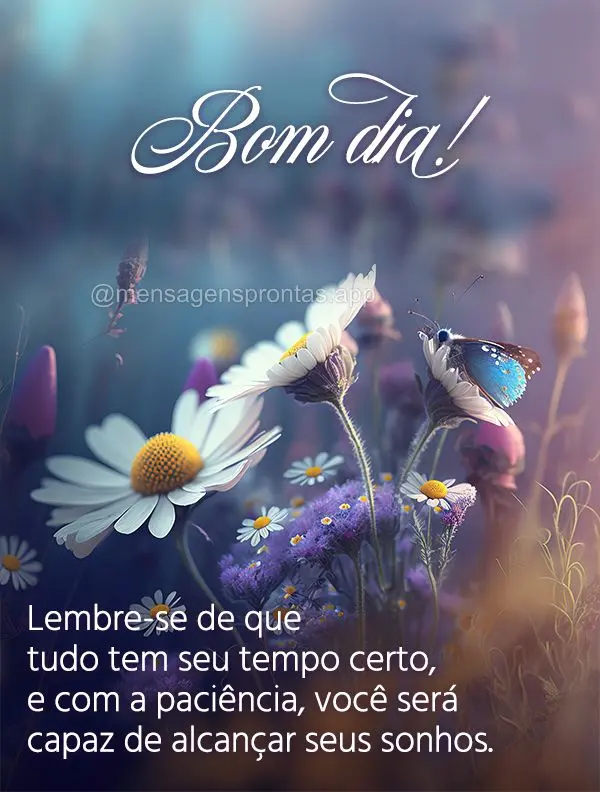 Lembre-se de que tudo tem seu tempo certo, e com a paciência, você será capaz de alcançar seus sonhos. Bom dia!