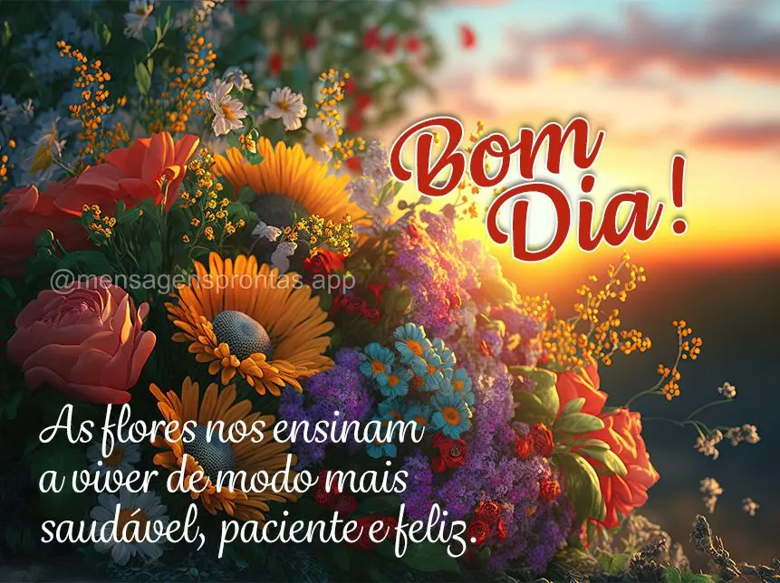 As flores nos ensinam a viver de modo mais saudável, paciente e feliz. Bom dia!