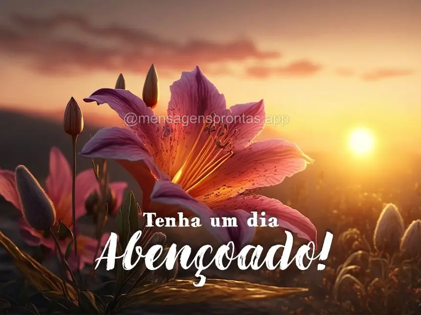 Tenha um dia abençoado!