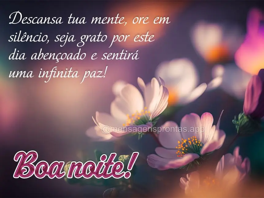 Descansa tua mente, ore em silêncio, seja grato por este dia abençoado e sentirá uma infinita paz! Boa noite!
