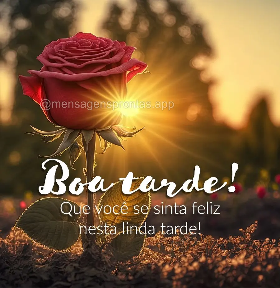 Que você se sinta feliz nesta linda tarde! Boa tarde! 