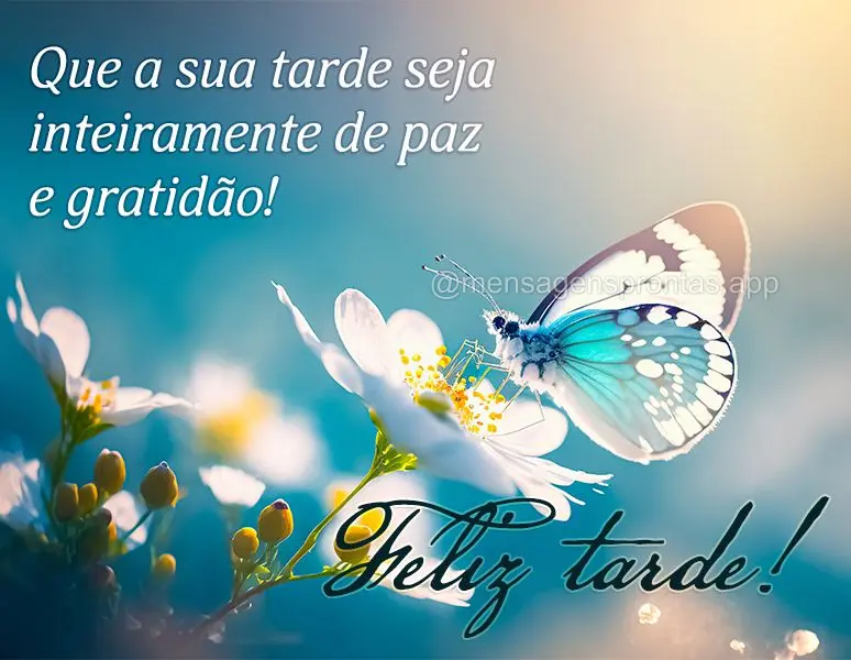 Que a sua tarde seja inteiramente de paz e gratidão!  Feliz tarde!