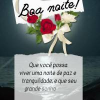 Que você possa viver uma noite de paz e tranquilidade, e que seu grande sonho seja alimento com fé esperança e motivação para que amanhã você pers...