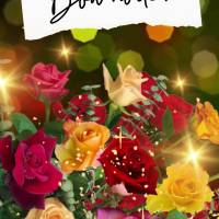 Tenha uma boa noite!