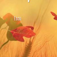 Escolha caminhos onde o destino é determinado pela vontade de Deus, e nunca se sentirá perdido! Terça-feira! 