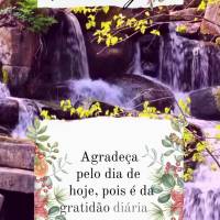 Agradeça pelo dia de hoje, pois é da gratidão diária que se tem uma vida inteira de bênçãos! Domingo! 