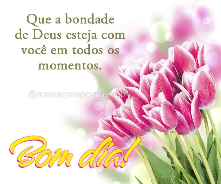 Que a bondade de Deus esteja com você em todos os momentos. Bom dia!