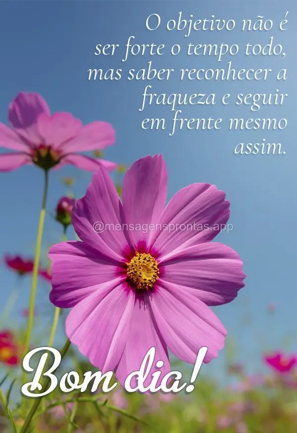 O objetivo não é ser forte o tempo todo, mas saber reconhecer a fraqueza e seguir em frente mesmo assim. Bom dia!
