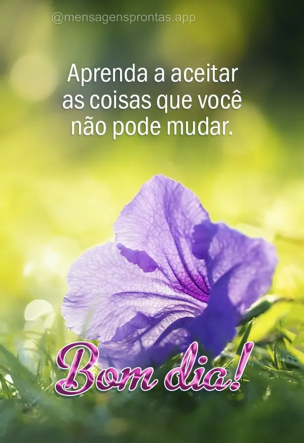 Aprenda a aceitar as coisas que você não pode mudar. Bom dia!