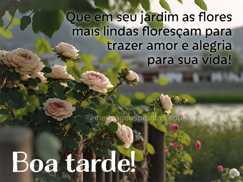 Que em seu jardim as flores mais lindas floresçam para trazer amor e alegria para sua vida! Boa tarde! 