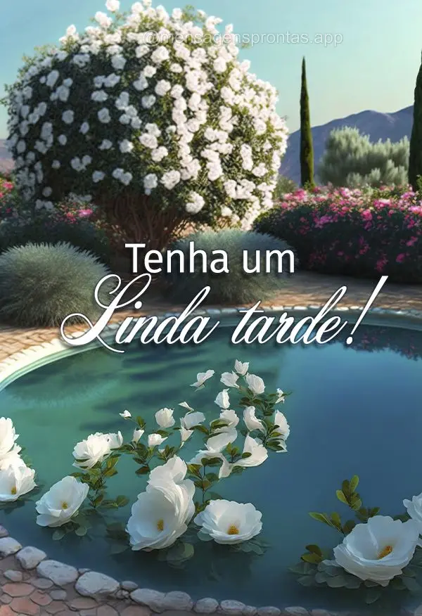 Tenha um Linda tarde!