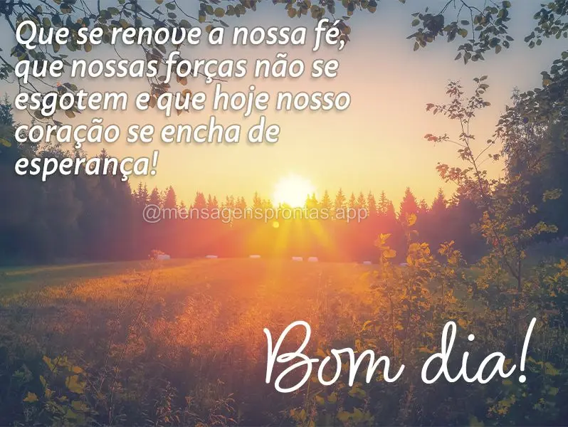 Que se renove a nossa fé, que nossas forças não se esgotem e que hoje nosso coração se encha de esperança! Bom dia!