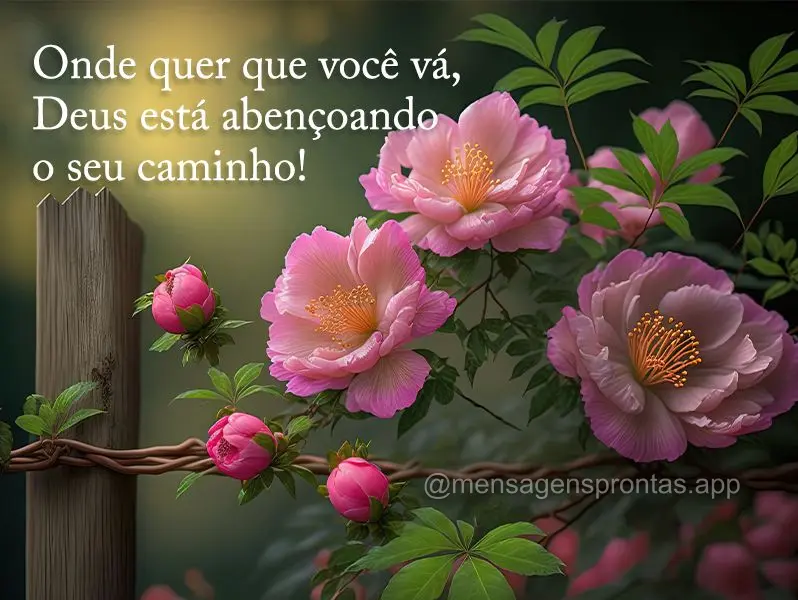 Onde quer que você vá, Deus está abençoando o seu caminho!