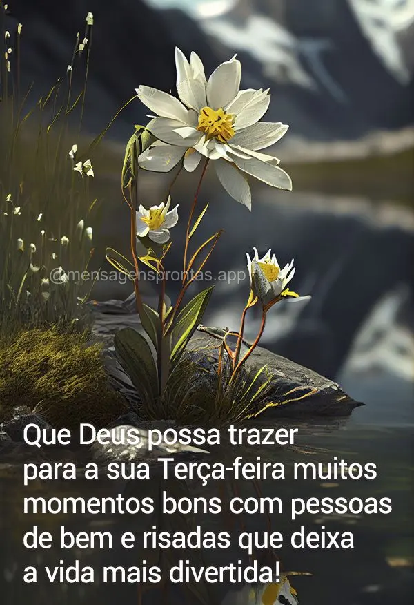 Que Deus possa trazer para a sua Terça-feira muitos momentos bons com pessoas de bem e risadas que deixa a vida mais divertida!