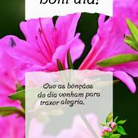 Que as bênçãos do dia venham para trazer alegria, que seu dia tenha paz, e seu coração muito amor, que possa ser grato onde quer que você for! Bom ...