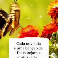 Cada novo dia é uma bênção de Deus, sejamos a cada momento vivido!  Boa tarde!