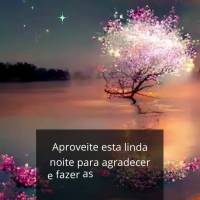 Aproveite esta linda noite para agradecer e fazer as suas preces com paz no coração e confiante que Deus está ouvindo a sua oração! Boa noite! 