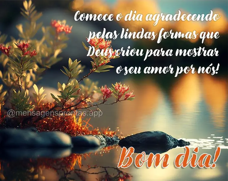 Comece o dia agradecendo pelas lindas formas que Deus criou para mostrar o seu amor por nós! Bom dia! 