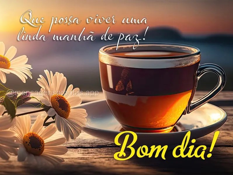 Que possa viver uma linda manhã de paz! Bom dia!