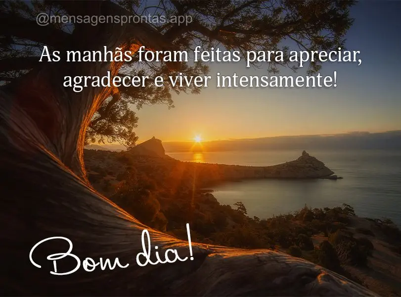 As manhãs foram feitas para apreciar, agradecer e viver intensamente! Bom dia!