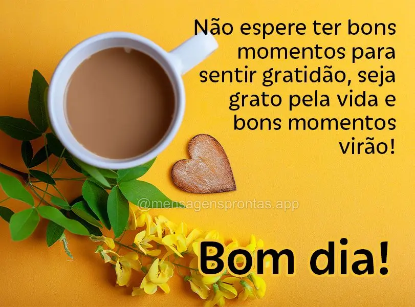 Não espere ter bons momentos para sentir gratidão, seja grato pela vida e bons momentos virão! Bom dia!