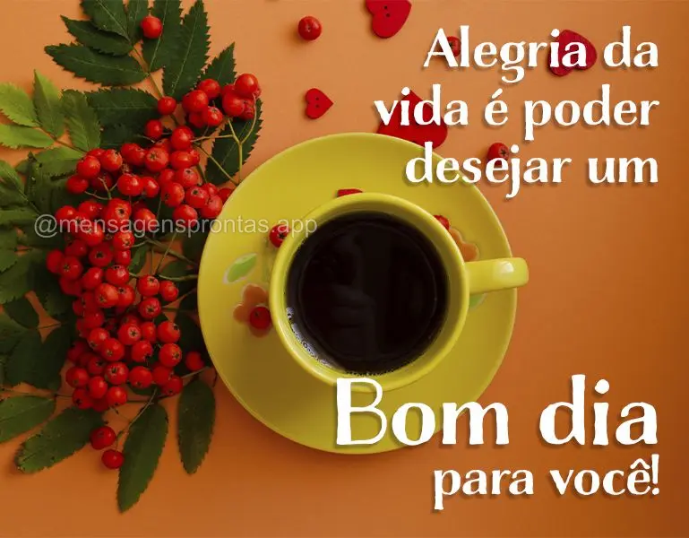 Alegria da vida é poder desejar um Bom dia para você!