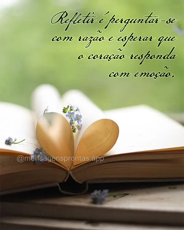 Refletir é perguntar-se com razão e esperar que o coração responda com emoção.