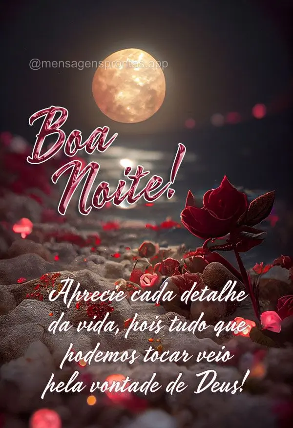 Aprecie cada detalhe da vida, pois tudo que podemos tocar veio pela vontade de Deus! Boa noite!
