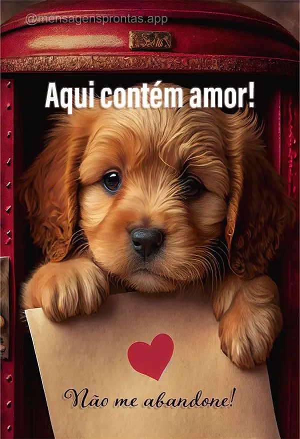 Aqui contém amor! Não me abandone!
