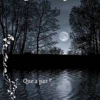 Que a paz esteja com você nesta noite transformando todas as angústias da vida em bênçãos! Boa noite!