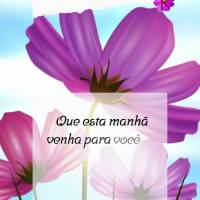 Que esta manhã venha para você com a glória de Deus e as bênçãos que você merece viver! Bom dia!