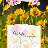 Que haja alegria em cada minuto do seu dia e que não falte motivos para apreciar a beleza da vida! Bom dia! 