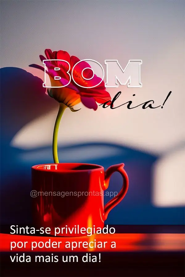 Sinta-se privilegiado por poder apreciar a vida mais um dia! Bom dia!