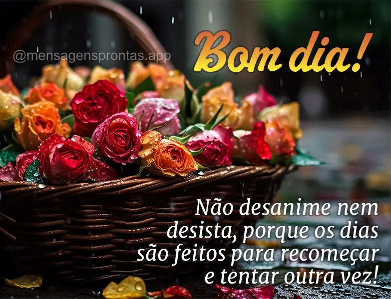 Não desanime nem desista, porque os dias são feitos para recomeçar e tentar outra vez! Bom dia! 
