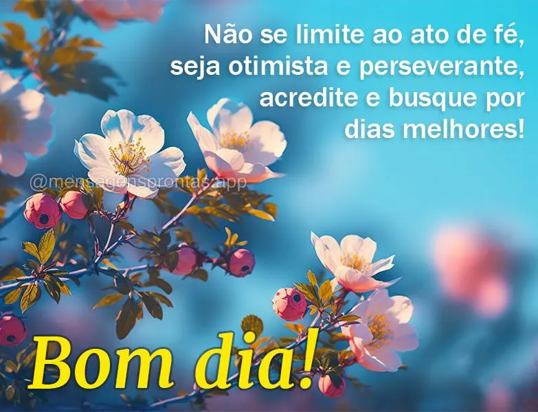 Não se limite ao ato de fé, seja otimista e perseverante, acredite e busque por dias melhores! Bom dia! 