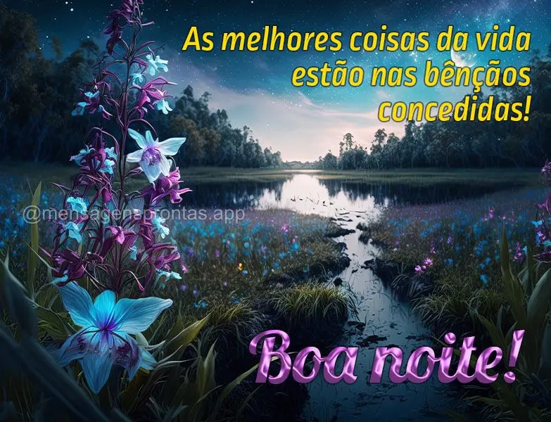 As melhores coisas da vida estão nas bênçãos concedidas! Boa noite!