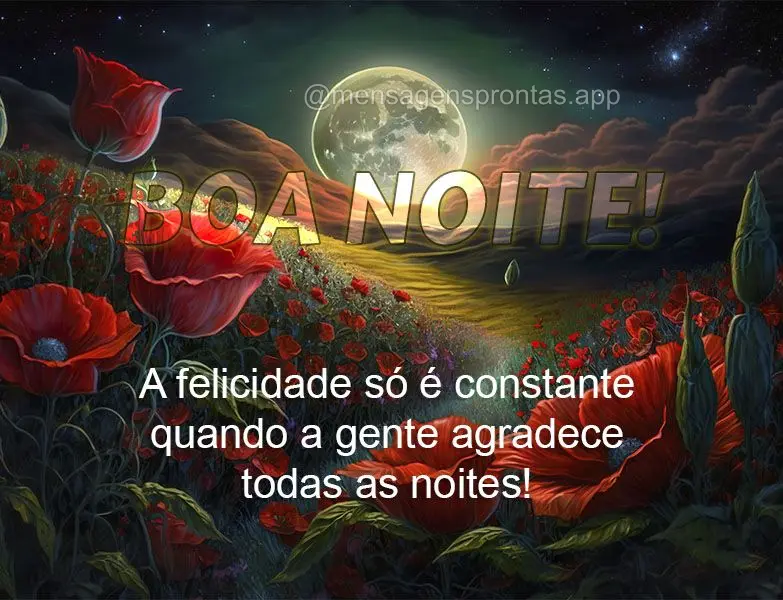 A felicidade só é constante quando a gente agradece todas as noites! Boa noite!