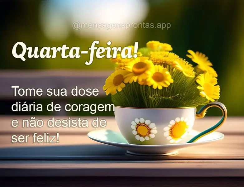 Tome sua dose diária de coragem e não desista de ser feliz! Quarta-feira! 