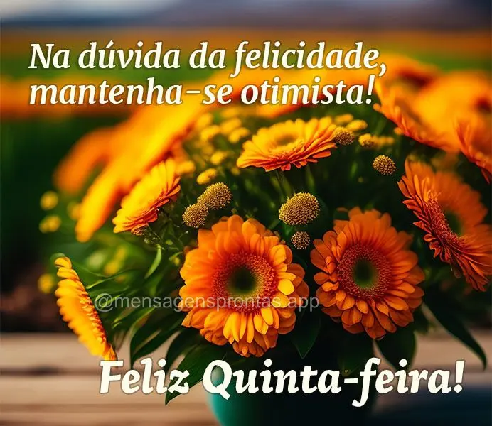Na dúvida da felicidade, mantenha-se otimista! Feliz Quinta-feira!