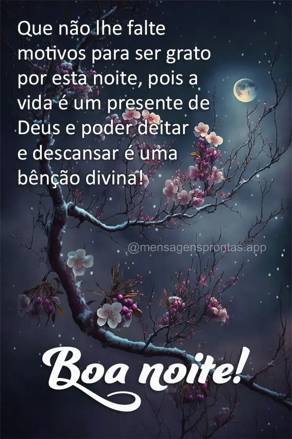 Que não lhe falte motivos para ser grato por esta noite, pois a vida é um presente de Deus e poder deitar e descansar é uma bênção divina! Boa noit...
