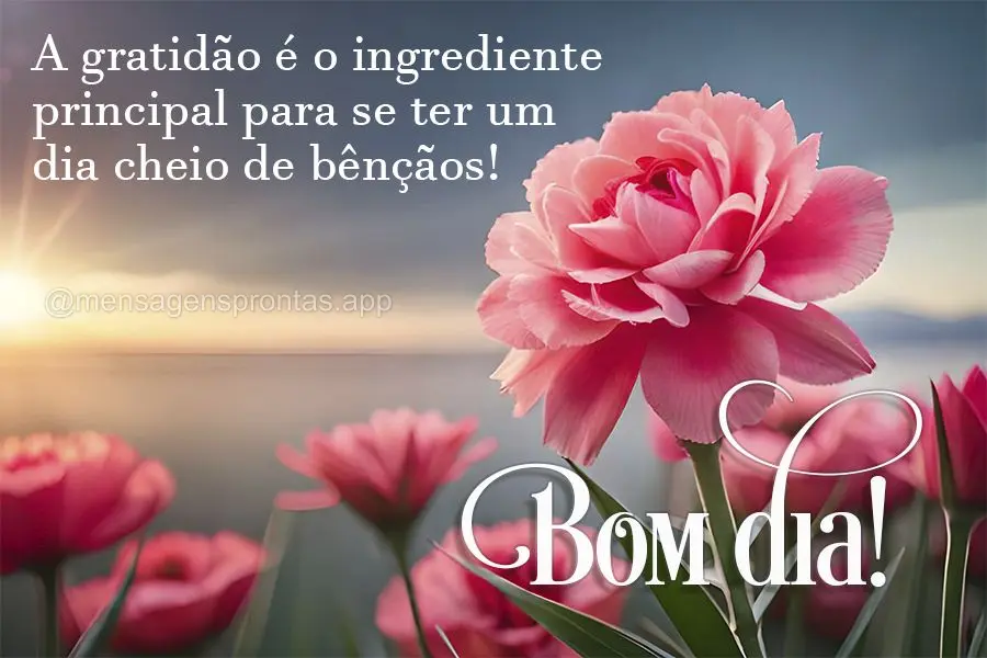 A gratidão é o ingrediente principal para se ter um dia cheio de bênçãos! Bom dia!