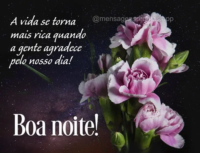 A vida se torna mais rica quando a gente agradece pelo nosso dia! Boa noite!