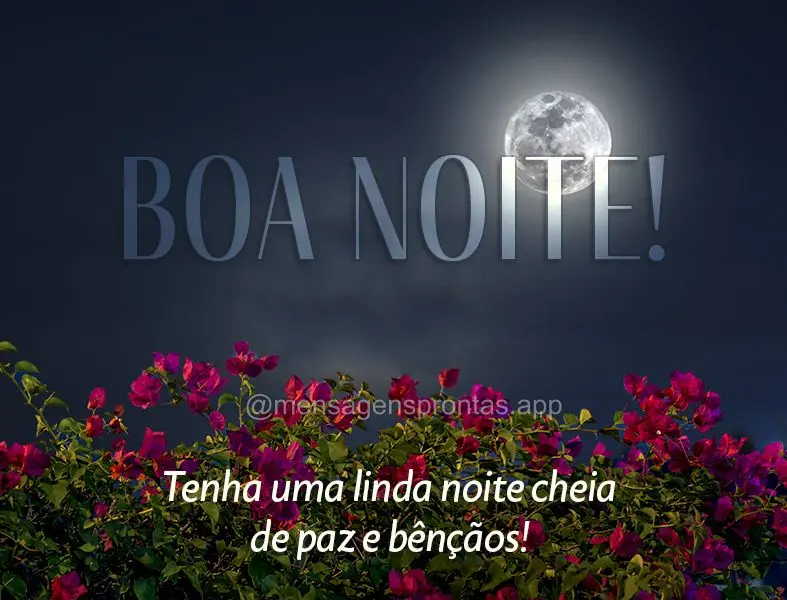 Tenha uma linda noite cheia de paz e bênçãos! Boa noite!