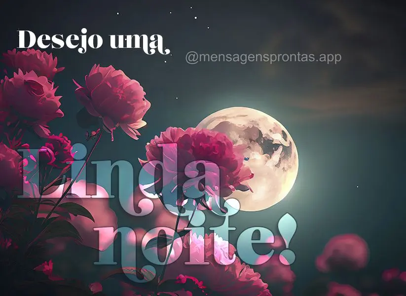 Desejo uma linda noite!