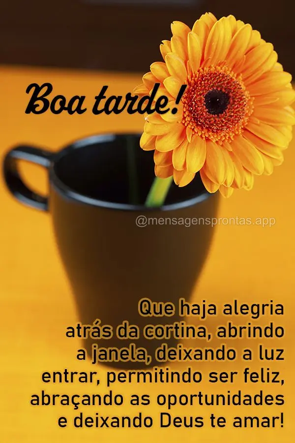 Que haja alegria atrás da cortina, abrindo a janela, deixando a luz entrar, permitindo ser feliz, abraçando as oportunidades e deixando Deus te amar!  ...