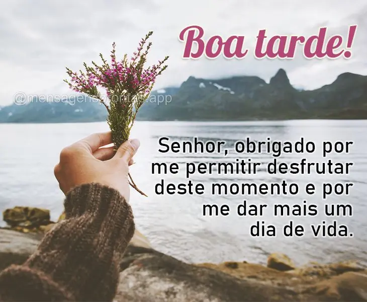 Senhor, obrigado por me permitir desfrutar deste momento e por me dar mais um dia de vida. Boa tarde!