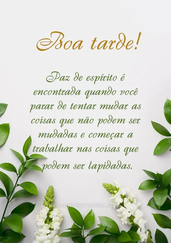 Paz de espírito é encontrada quando você parar de tentar mudar as coisas que não podem ser mudadas e começar a trabalhar nas coisas que podem ser la...