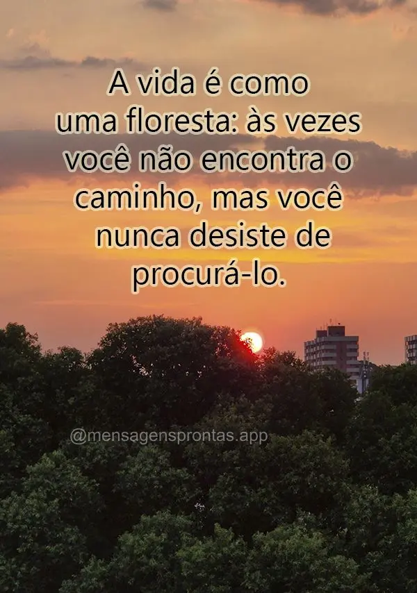 A vida é como uma floresta: às vezes você não encontra o caminho, mas você nunca desiste de procurá-lo.
